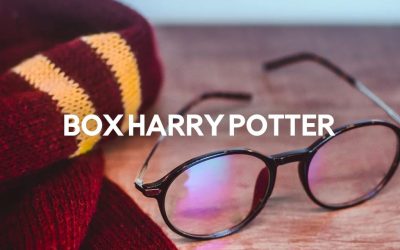Le Top 18 des Box Harry Potter