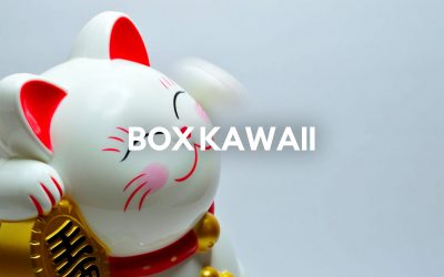 Le Top 10 des Meilleures Box Kawaii