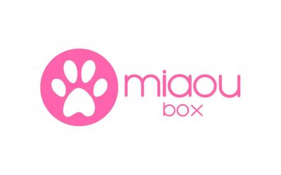 MiaouBox : notre avis d’experts sur la box surprise préférée des chats