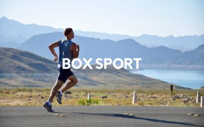 Le top 17 des Box Sport pour les Sportifs