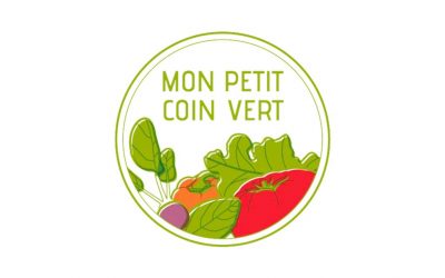 Mon Petit Coin Vert : notre Avis honnête sur cette box de jardinage mensuelle