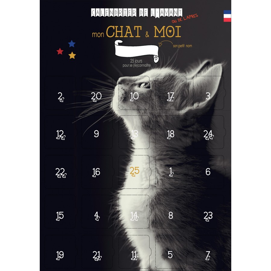 calendrier de l'avent mon chat et moi